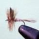 Hares Ear F Fly
