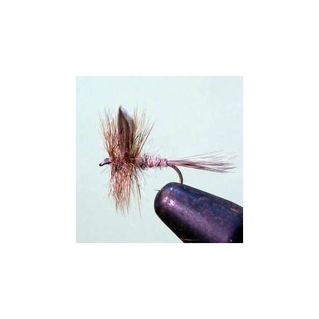 Hares Ear F Fly