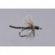 Haslam S Midge Adult