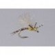 Haslam S Pmd X Emerger