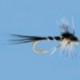 Hatching Midge Flies