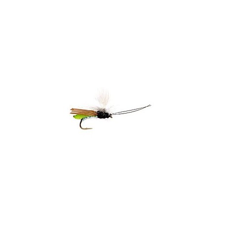Headlight Caddis