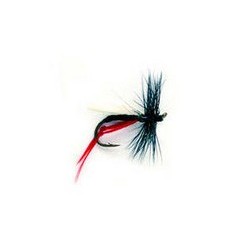 Heather Fly