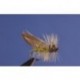 Hemingway Caddis