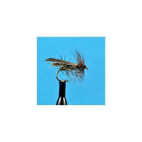 Henryville Caddis