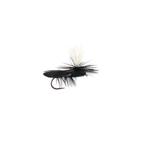 Hi Vis Black Foam Beetle