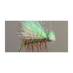 Hivis Inchworm