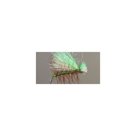 Hivis Inchworm