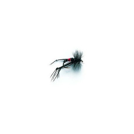 Hopper Bibio