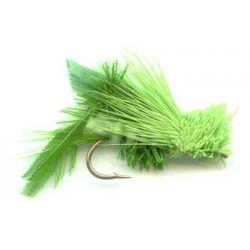 Hopper Olive