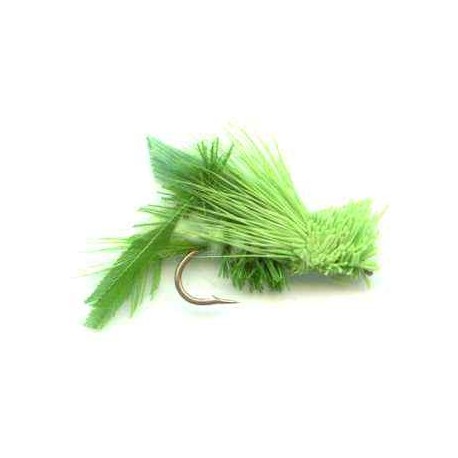 Hopper Olive