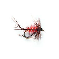 Hopper Red