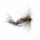 Hoppers Hares Ear