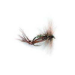 Hoppers Hares Ear