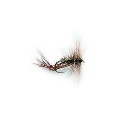 Hoppers Hares Ear