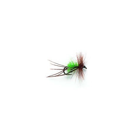 Hoppers Lime