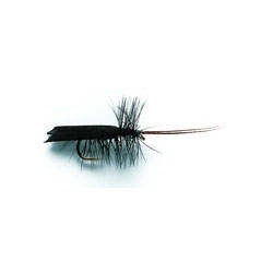 Horned Sedge Black