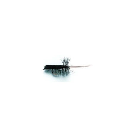 Horned Sedge Black