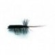 Horned Sedge Black