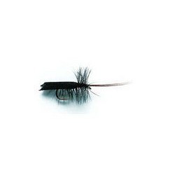 Horned Sedge Black