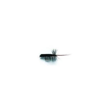 Horned Sedge Black