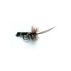 Horned Sedge Brown