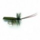 Horned Sedge Olive