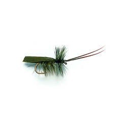 Horned Sedge Olive