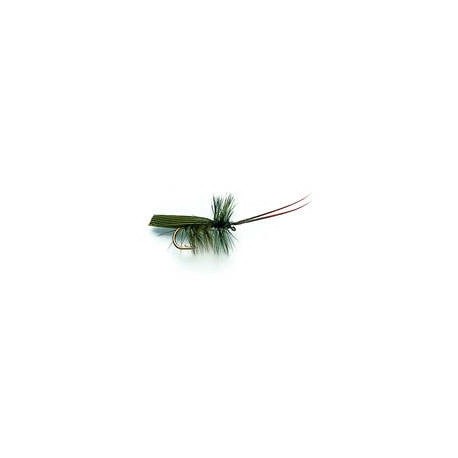 Horned Sedge Olive