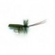 Horned Sedge Olive
