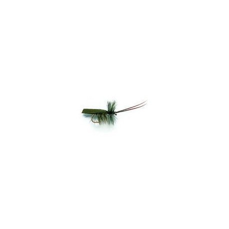 Horned Sedge Olive