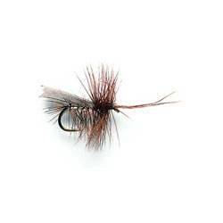 Horned Sedge Silver