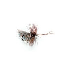 Horned Sedge Silver