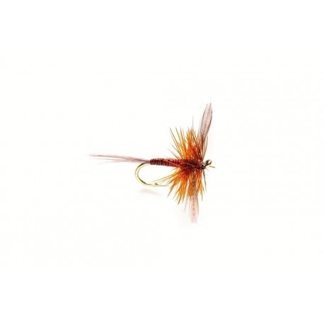 Houghton Ruby