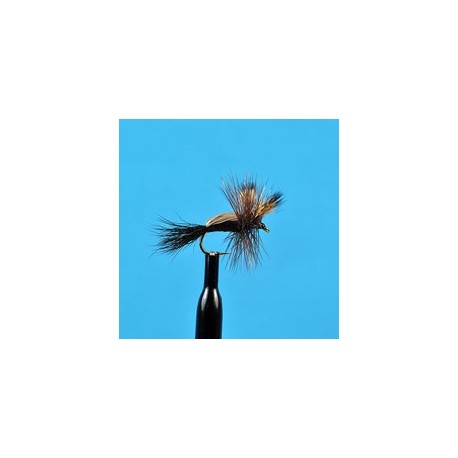 Humpy Black