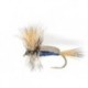 Humpy Blue