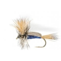 Humpy Blue