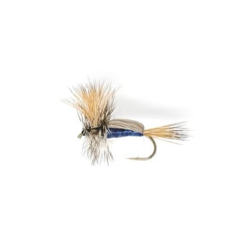 Humpy Blue