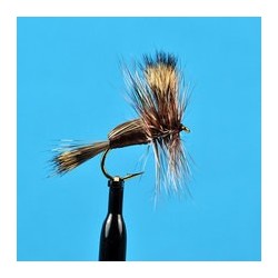 Humpy Brown