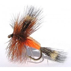 Humpy Orange