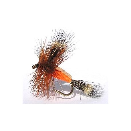 Humpy Orange
