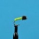 Inchworm