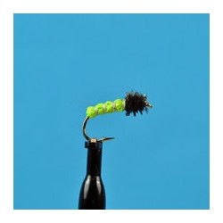 Inchworm