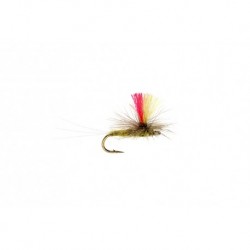 Indicator Para Bwo