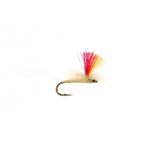 Indicator Para Light Cahill