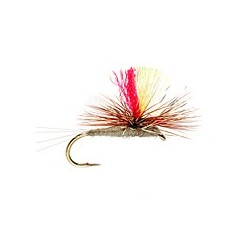 Indicator Parachute Adams