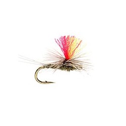 Indicator Parachute Baetis