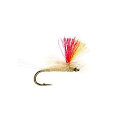 Indicator Parachute Lt. Cahill