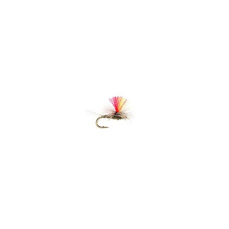 Indicator Parachute Baetis
