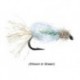 Iris Caddis